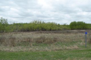 Photo 3: 13 Vincent Way in Rural Stettler No. 6, County of: Rural Stettler County Residential Land for sale : MLS®# A2047444