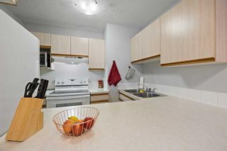 Photo 16: 210 647 1 Avenue NE in Calgary: Bridgeland/Riverside Apartment for sale : MLS®# A2122506
