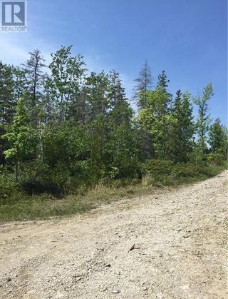 Photo 13: Pt Lt 33 Clover Valley Road E in Manitowaning: Vacant Land for sale : MLS®# 2116051