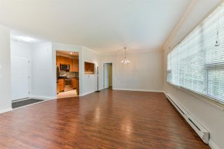 Photo 9: 106 3767 NORFOLK Street in Burnaby: Central BN Condo for sale (Burnaby North)  : MLS®# R2274204