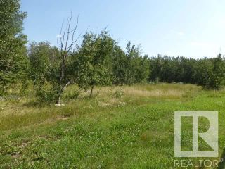 Photo 13: 40 26555  Twp 481: Rural Leduc County Rural Land/Vacant Lot for sale : MLS®# E4275777