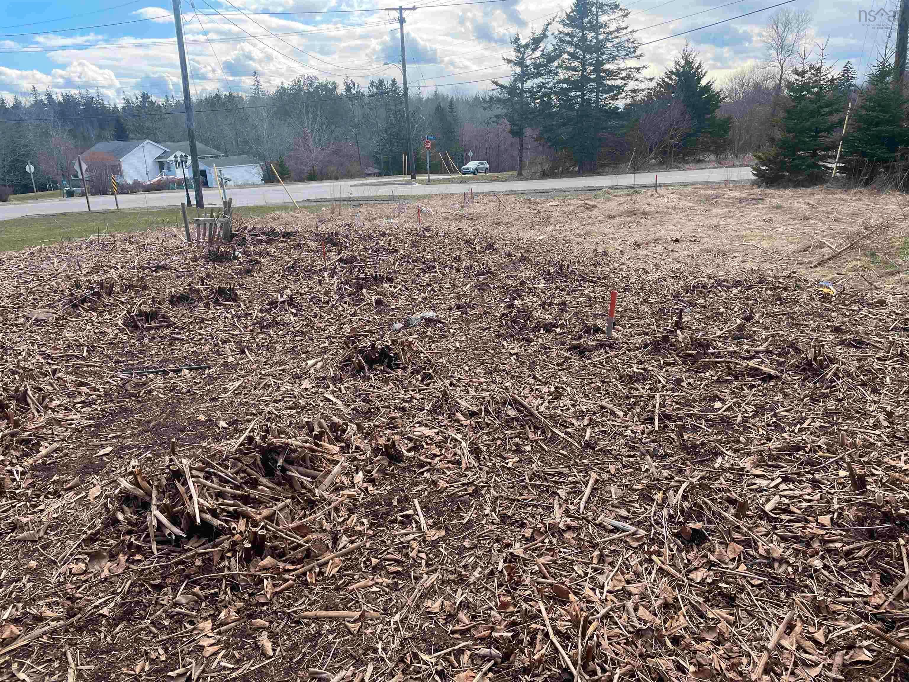Main Photo: 567 Young Street in Truro: 104-Truro / Bible Hill Vacant Land for sale (Northern Region)  : MLS®# 202206641