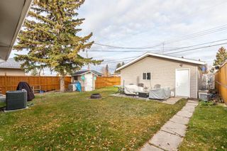 Photo 28: 260 Van Horne Crescent NE in Calgary: Vista Heights Detached for sale : MLS®# A1144476
