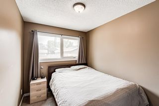 Photo 21: 484 Midridge Drive SE in Calgary: Midnapore Detached for sale : MLS®# A2077655