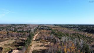 Photo 10: Lot New Road Weymouth in Weymouth: Digby County Vacant Land for sale (Annapolis Valley)  : MLS®# 202225978