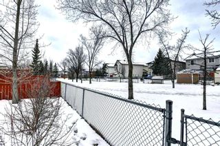 Photo 47: 116 Bridlewood Circle SW in Calgary: Bridlewood Detached for sale : MLS®# A2118131