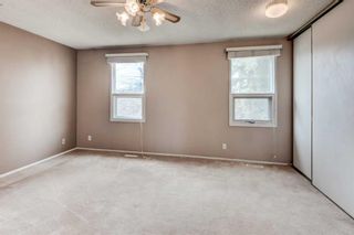 Photo 19: 24 Erin Croft Green SE in Calgary: Erin Woods Detached for sale : MLS®# A2123603
