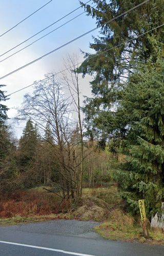 Photo 4: 26635 DEWDNEY TRUNK Road in Maple Ridge: Websters Corners Land for sale : MLS®# R2686238