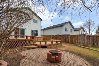 Photo 36: 72 Mt Apex Green SE in Calgary: McKenzie Lake Detached for sale : MLS®# A2126594