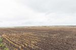 Main Photo: 16-2 in Rural Stettler No. 6, County of: Rural Stettler County Agriculture for sale : MLS®# A2135113