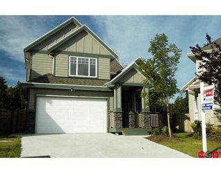 Photo 1: 21223 83B Avenue in Langley: Willoughby Heights House for sale : MLS®# F2913681