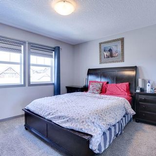 Photo 24: 3 Skyview Springs Manor NE in Calgary: Skyview Ranch Detached for sale : MLS®# A2036422