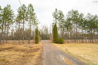Photo 46: 311 Athol Road in Athol: 102S-South of Hwy 104, Parrsboro Residential for sale (Northern Region)  : MLS®# 202407447