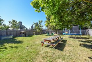 Photo 5: 883 Stewart Ave in Courtenay: CV Courtenay City House for sale (Comox Valley)  : MLS®# 892203