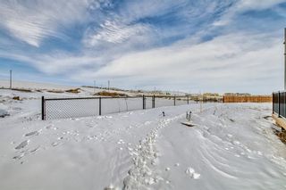 Photo 43: 97 Baysprings Gardens SW: Airdrie Detached for sale : MLS®# A2030415