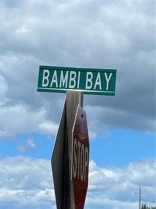 Photo 1: 0 BAMBI Bay in Zhoda: R16 Residential for sale : MLS®# 202318602