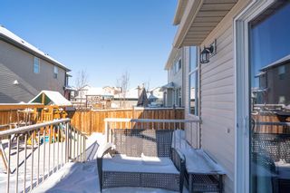 Photo 39: 202 Chaparral Valley Way SE in Calgary: Chaparral Detached for sale : MLS®# A2010511