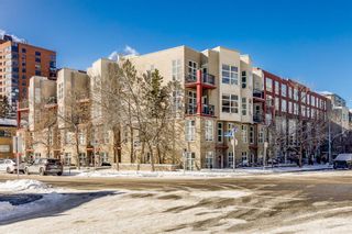 Photo 3: 425 315 24 Avenue SW in Calgary: Mission Apartment for sale : MLS®# A2112126