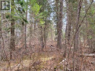 Photo 2: 3263 BOESEM ROAD in Quesnel: Vacant Land for sale : MLS®# R2877614