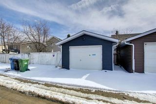 Photo 35: 145 Taradale Close NE in Calgary: Taradale Detached for sale : MLS®# A2023300