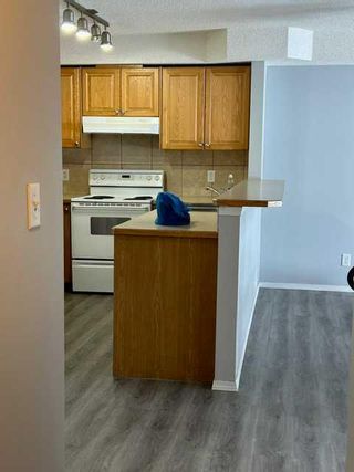 Photo 8: 118 92 Saddletree Court NE in Calgary: Saddle Ridge Apartment for sale : MLS®# A2121337