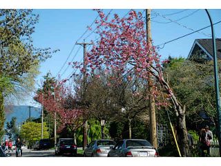 Photo 19: 3173 W 4TH Avenue in Vancouver: Kitsilano Condo for sale in "BRIDGEWATER" (Vancouver West)  : MLS®# V1114933