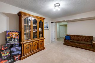 Photo 31: 117 Canoe Square SW: Airdrie Semi Detached for sale : MLS®# A1219402