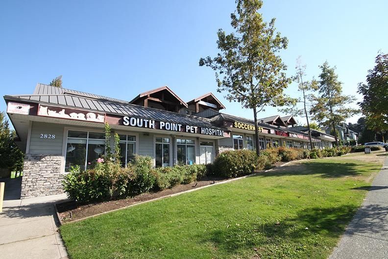 Main Photo: 107 2828 152  Street in Surrey: King George Corridor Retail for sale (South Surrey White Rock) 
