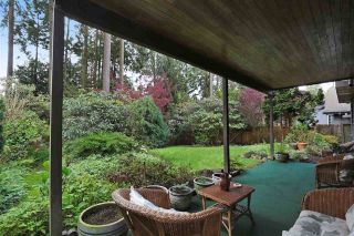 Photo 16: 3172 MT SEYMOUR Parkway in North Vancouver: Northlands House for sale : MLS®# R2203834