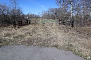 Photo 11: 250 50150 RGE RD 232: Rural Leduc County Vacant Lot/Land for sale : MLS®# E4338716