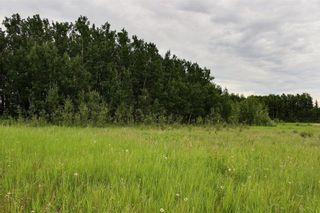Photo 7: 33538 Rg RD 30: Rural Mountain View County Land for sale : MLS®# C4305650