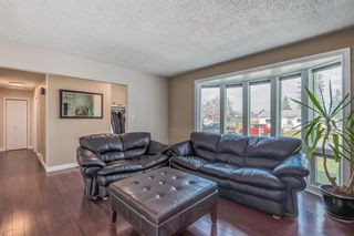 Photo 43: 1027 34 Street SE in Calgary: Albert Park/Radisson Heights Detached for sale : MLS®# A2050547