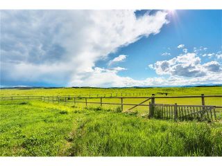 Photo 8: 434019 192 Street: Rural Foothills M.D. House for sale : MLS®# C4073369