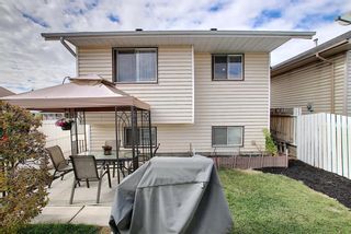 Photo 26: 305 Martinwood Place NE in Calgary: Martindale Detached for sale : MLS®# A1038589