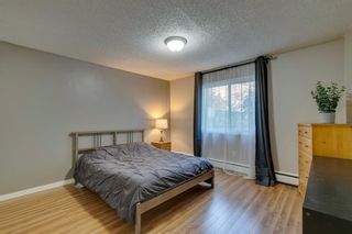 Photo 14: 502 8948 Elbow Drive SW in Calgary: Haysboro Apartment for sale : MLS®# A1258286