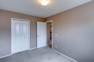 Photo 29: 131 Citadel Crest Green NW in Calgary: Citadel Detached for sale : MLS®# A1124177