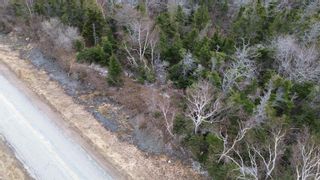 Photo 13: Plateau Road in Chéticamp: 306-Inverness County / Inverness Vacant Land for sale (Highland Region)  : MLS®# 202405435
