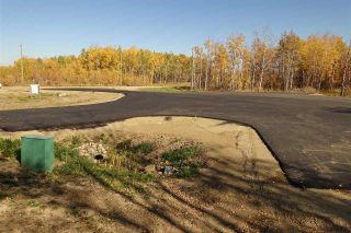 Photo 5: Lot 10 27331 Township Road: Rural Leduc County Rural Land/Vacant Lot for sale : MLS®# E4254983