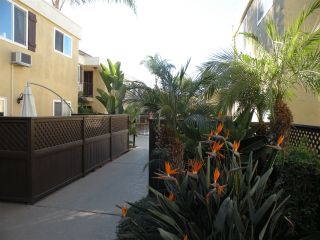 Photo 14: CLAIREMONT Condo for sale : 2 bedrooms : 6750 Beadnell Way #51 in San Diego