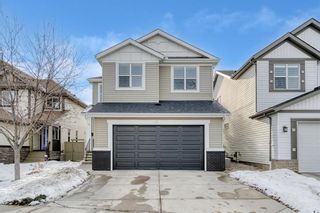 Main Photo: 31 Copperleaf Terrace SE in Calgary: Copperfield Detached for sale : MLS®# A2013670