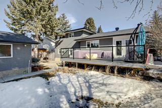 Photo 37: 6427 Larkspur Way SW in Calgary: North Glenmore Park Detached for sale : MLS®# A1079001