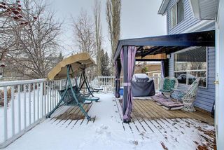 Photo 42: 160 LAKEVIEW SHORES Court: Chestermere Detached for sale : MLS®# A1080975