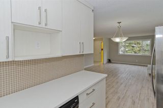 Photo 14: 5119 26 Avenue NE in Calgary: Rundle Detached for sale : MLS®# A1199257