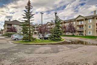 Photo 41: 205 4000 Citadel Meadow Point NW in Calgary: Citadel Apartment for sale : MLS®# A2079242