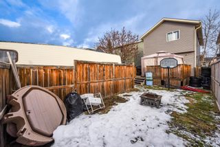 Photo 4: 96 Castlegreen Close NE in Calgary: Castleridge Detached for sale : MLS®# A1175060