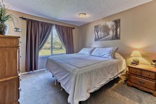Photo 24: 3454 Twp Rd 290 A Township: Rural Mountain View County Detached for sale : MLS®# A1113773