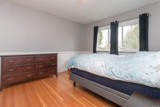 Photo 18: 575 Obed Ave in Saanich: SW Gorge House for sale (Saanich West)  : MLS®# 893276