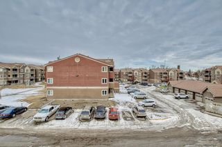Photo 37: 1231 1231 Edenwold Heights NW in Calgary: Edgemont Apartment for sale : MLS®# A2016837
