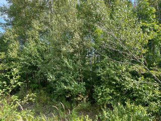 Photo 13: 450 Wellington Street in Pictou: 107-Trenton, Westville, Pictou Vacant Land for sale (Northern Region)  : MLS®# 202223704