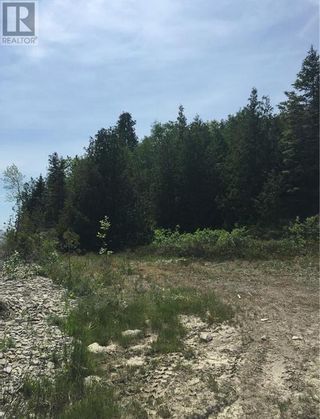 Photo 14: Pt Lt 33 Clover Valley Road E in Manitowaning: Vacant Land for sale : MLS®# 2116051